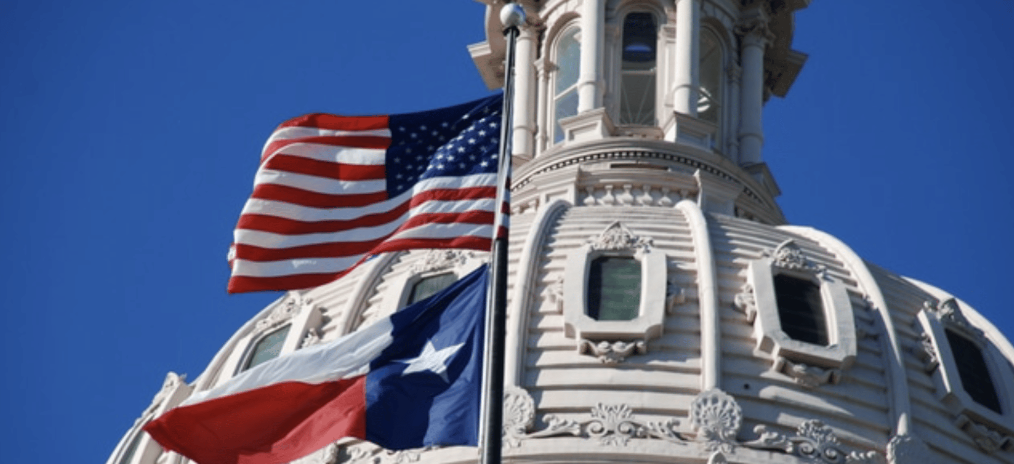 Government IT Sales and Telephone Services In Texas